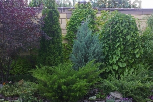 landscape (12)